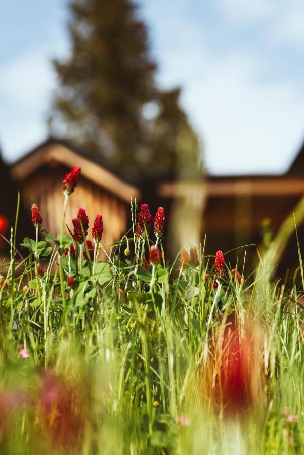 Hideaway Hotel Montestyria Chalets & Suiten Mariazell Kültér fotó