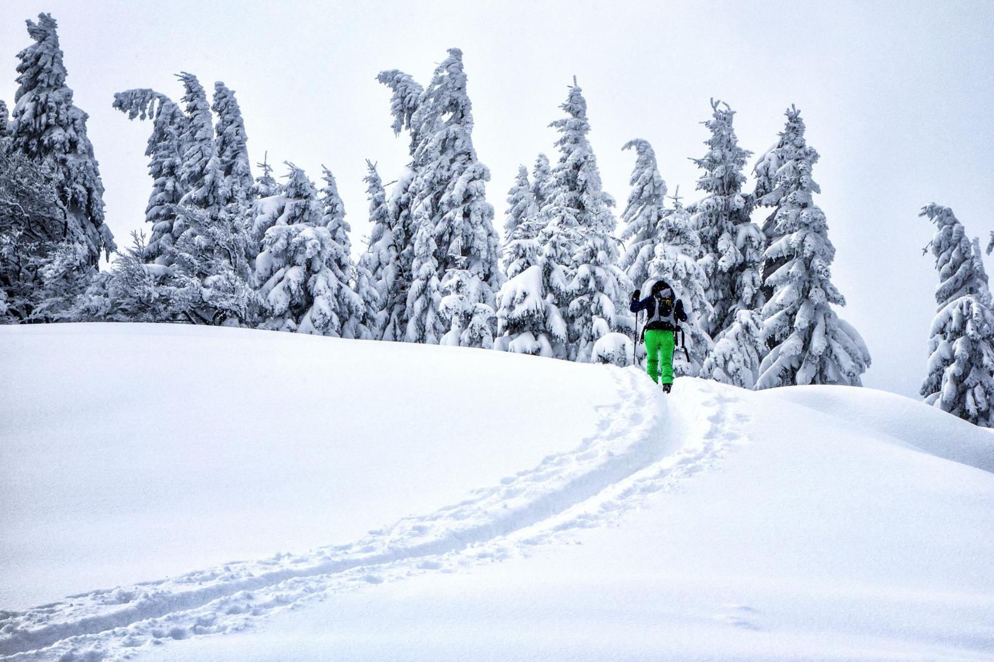 Hideaway Hotel Montestyria Chalets & Suiten Mariazell Kültér fotó
